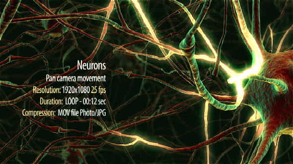 Neurons - VideoHive 20288386