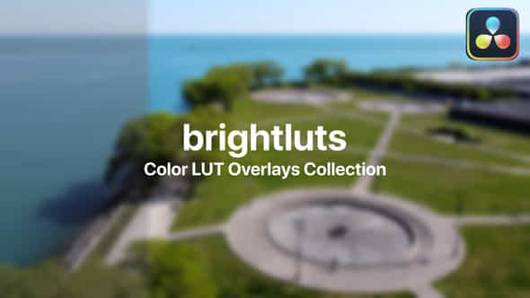 Bright Color Presets - VideoHive 47799481