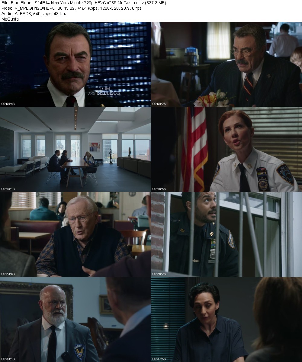 Blue Bloods S14E14 New York Minute 720p HEVC x265-MeGusta