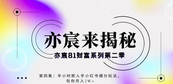 亦宸财富81系列第2季第4集：半小时即入手小红书成交项目，包你月入2W