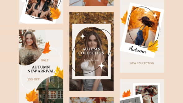 Autumn Sale Instagram Stories - VideoHive 33733681