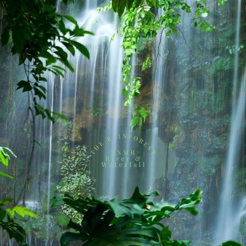 ASMR River & Waterfall - The Rainforest - 2022