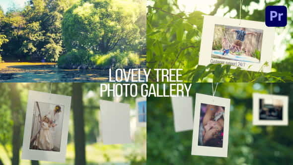 Lovely Tree Photo - VideoHive 38569897