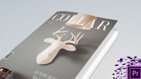 Magazine and Book - VideoHive 47987626