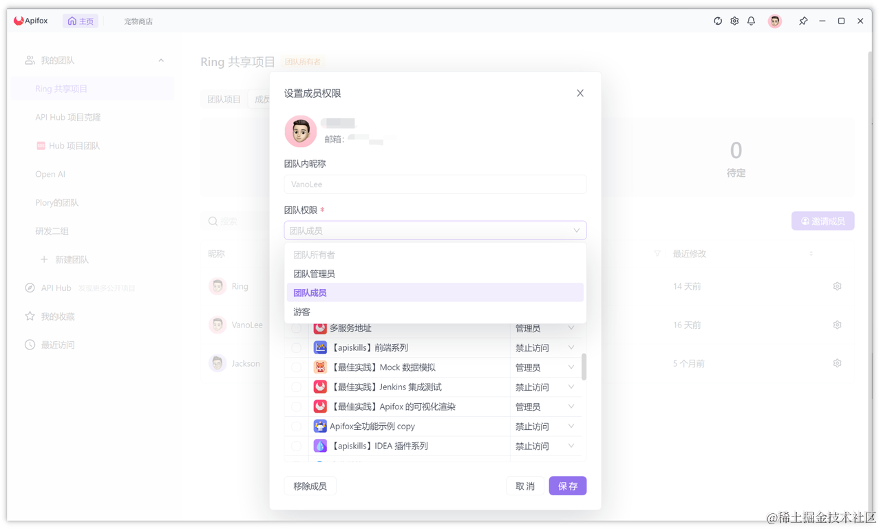 Apifox 权限管理