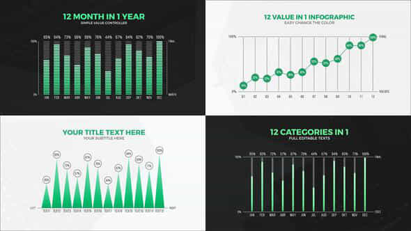 12 Value Infographic - VideoHive 39591364