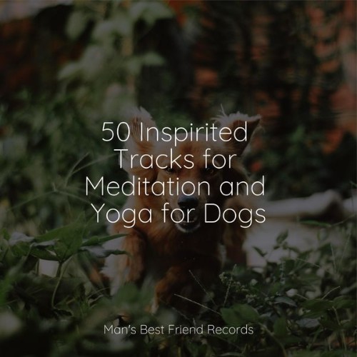 Music for Pets Library - 50 Inspirited Tracks for Meditation and Yoga for Dogs - 2022