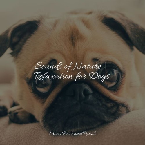 Music for Dog's Ear - Sounds of Nature  Relaxation for Dogs - 2022