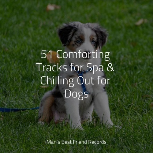 Jazz Music Therapy for Dogs - 51 Comforting Tracks for Spa & Chilling Out for Dogs - 2022