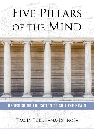 Five Pillars of the Mind   Redesigning Education to Suit the Brain