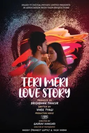 Teri Meri Love Story 2025 Hindi Season 01 Episodes 01-04 ImaxxTV WEB Series 720p HDRip Download