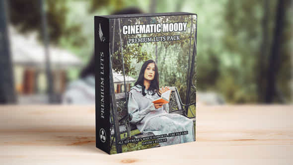 Cinematic Film Look - VideoHive 48592762