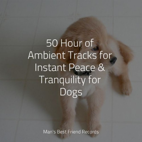 Music for Calming Dogs - 50 Hour of Ambient Tracks for Instant Peace & Tranquility for Dogs - 2022