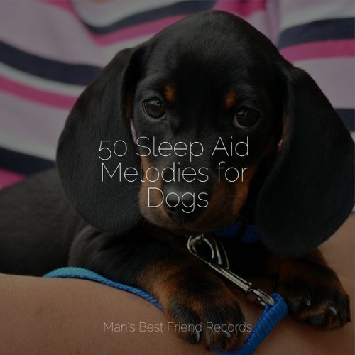 Music for Dog's Ears - 50 Sleep Aid Melodies for Dogs - 2022