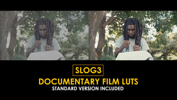 Slog3 Documentary Film And Standard Color Luts - VideoHive 51104035