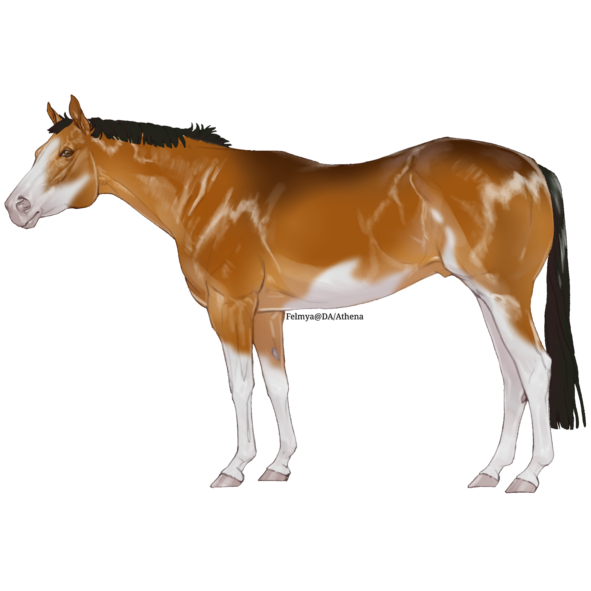 hwmiTqmL_o.png