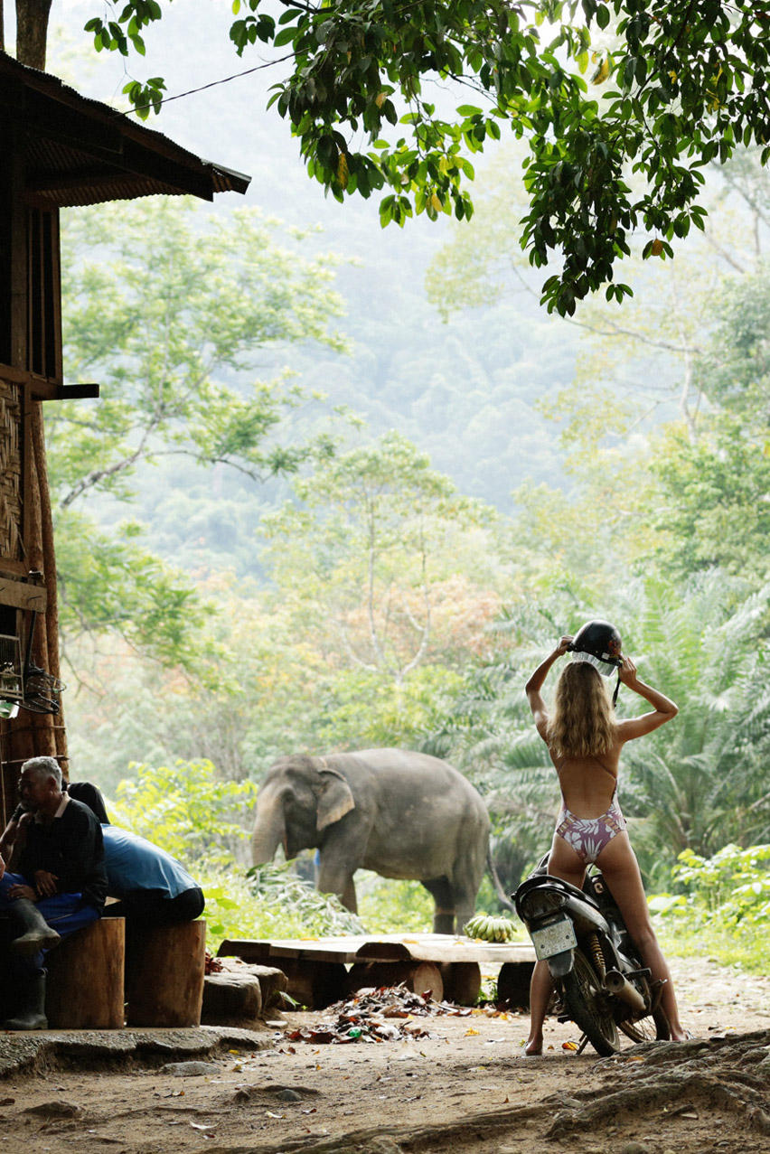 Отдых со слонами в Таиланде - Магдалена Фраковяк / Magdalena Frackowiak by Cameron Hammond / Free People