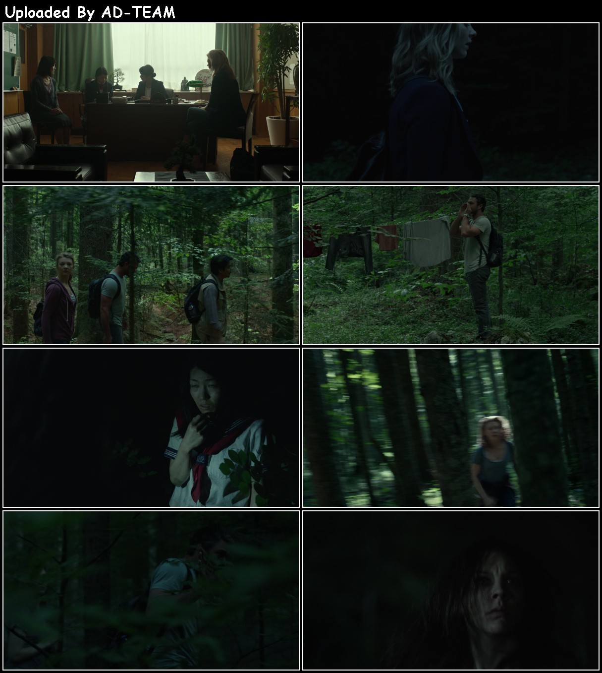 The Forest 2016 1080p BluRay x265-RARBG BbwWPzQ3_o