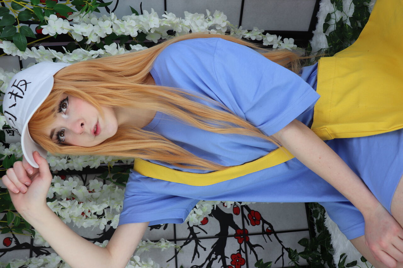 Melondoki - Platelet