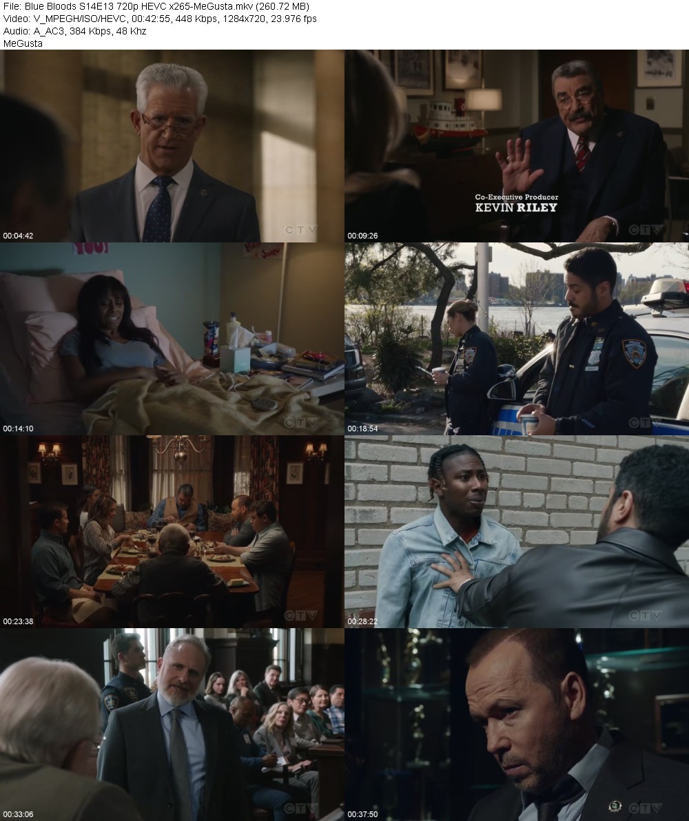 Blue Bloods S14E13 720p HEVC x265-MeGusta