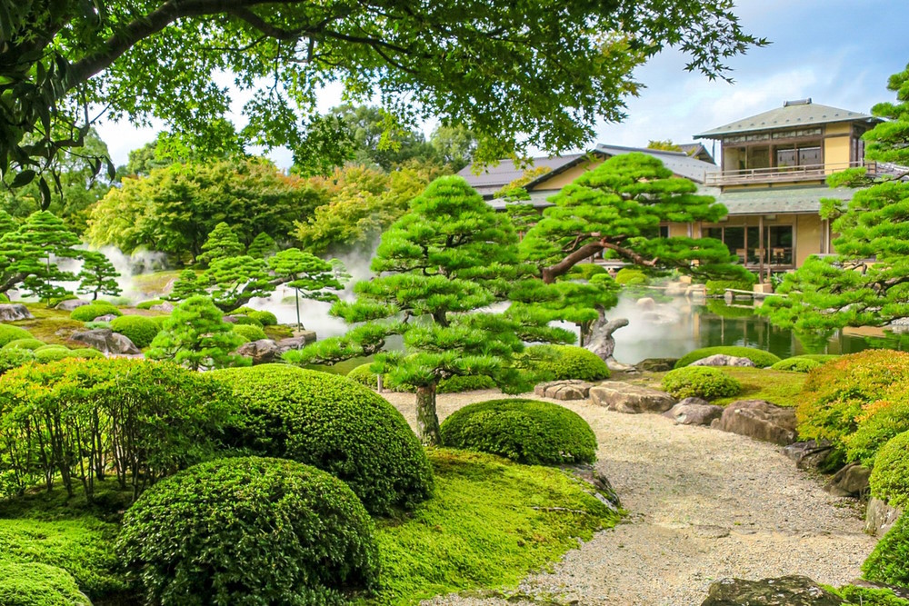 日本庭園の針葉樹