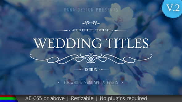 Wedding Titles - VideoHive 20439562