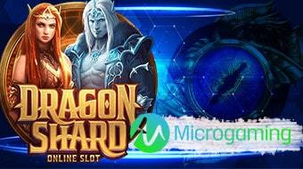 Microgaming Slot