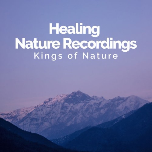 Kings of Nature - Healing Nature Recordings - 2019
