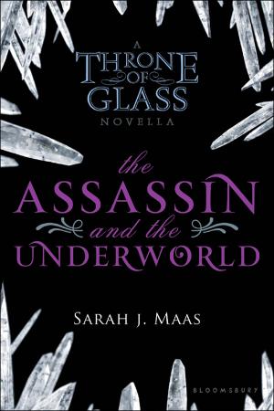 The Assassin and the Underworld   Sarah J Maas