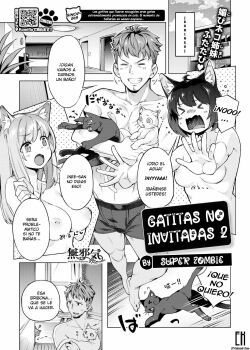 gatitas-no-invitadas-2