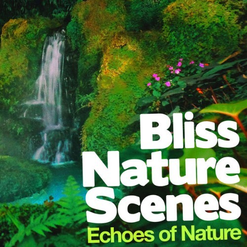 Echoes of Nature - Bliss Nature Scenes - 2019