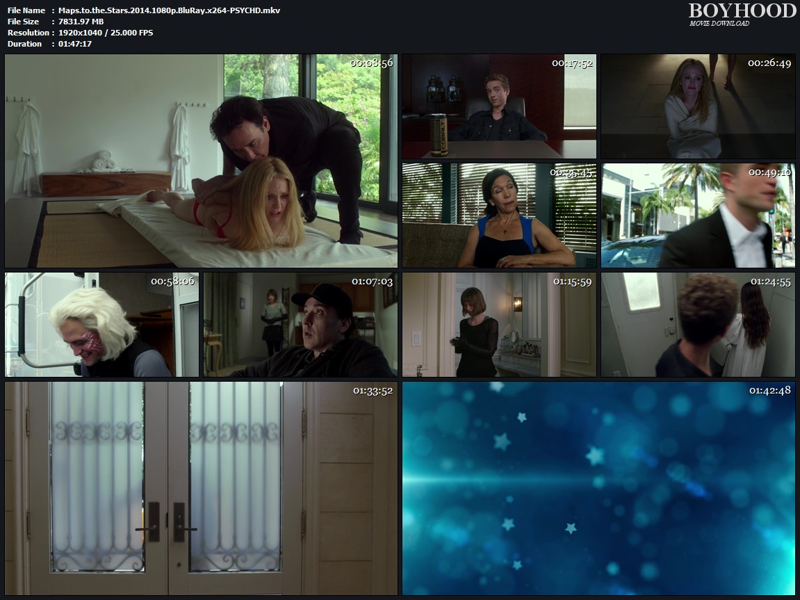 Maps to the Stars 2014