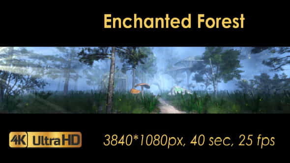 The Enchanted Forest Panorama - VideoHive 20817233
