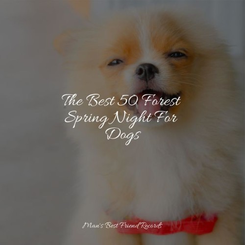 Music for Dogs Collective - The Best 50 Forest Spring Night For Dogs - 2022
