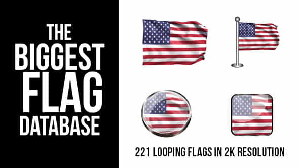 221 Looping World Flags - VideoHive 9255626