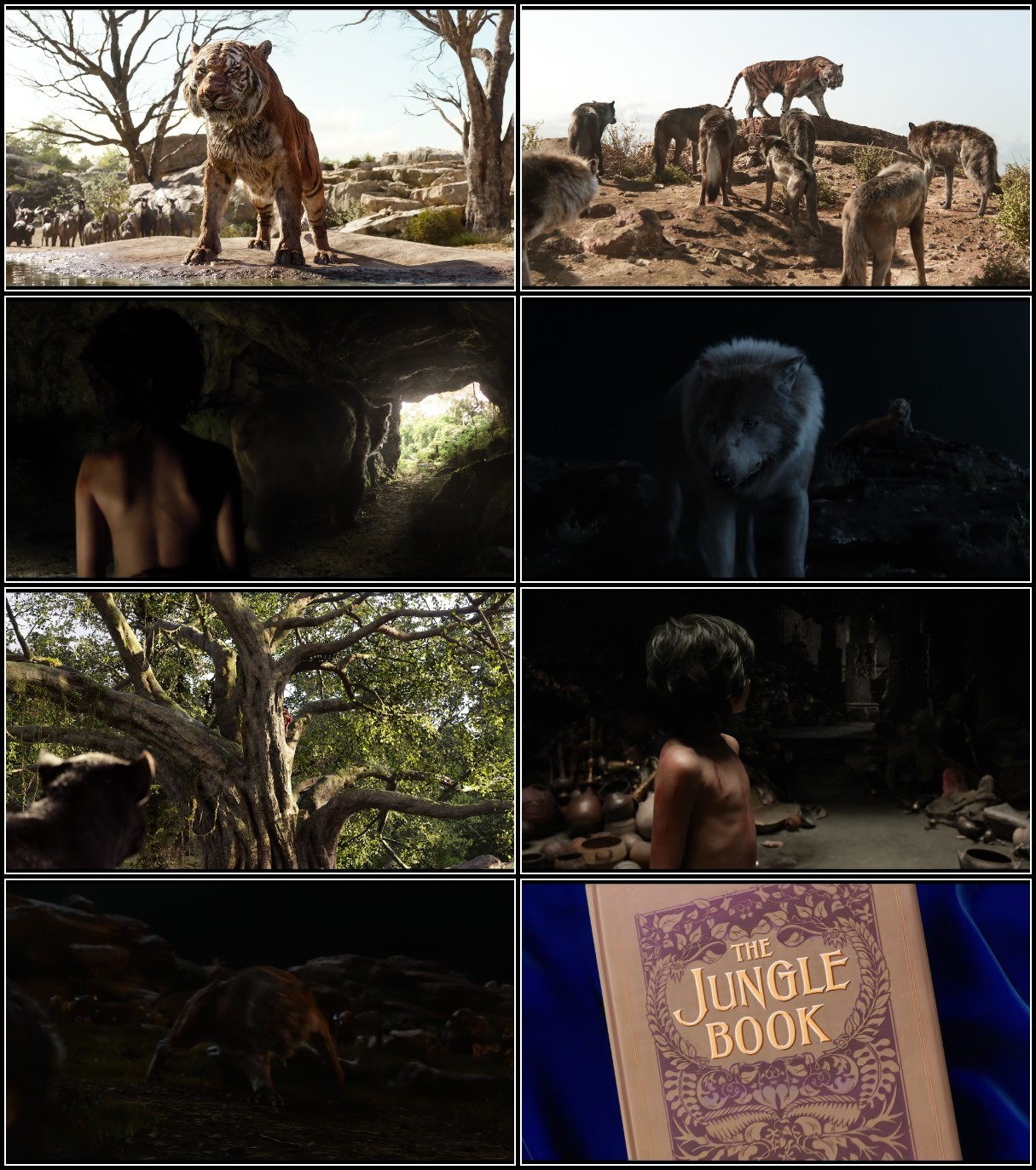 8FFNZ2A1 o - The Jungle Book (2016) 080p Blu-Ray HEVC x265 10Bit DDP5 1 KINGDOM RG