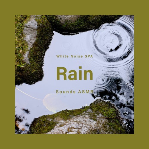 Noble Music Project - White Noise SPA Rain Sounds ASMR - 2022