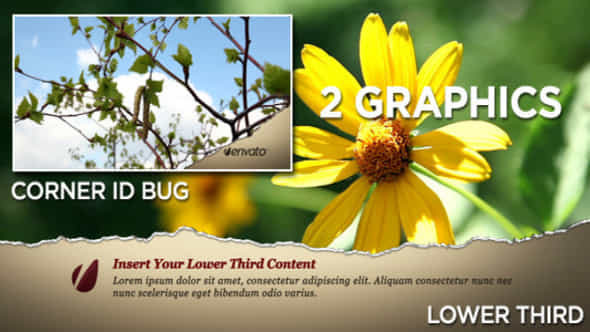 Torn Lower Third - VideoHive 409877