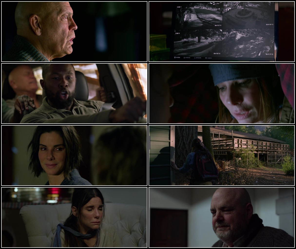 Bird Box (2018) [WEBRip] 1080p (YIFY)