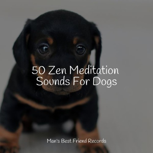 Sleepy Dogs - 50 Zen Meditation Sounds For Dogs - 2022