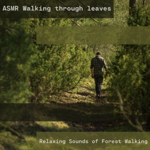 ASMR Walking through Leaves - Relaxing Sounds of Forest Walking - 2022