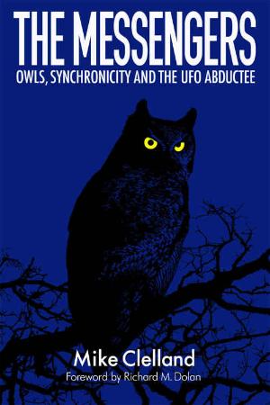 The Messengers Owls, Synchronicity and the UFO Abductee