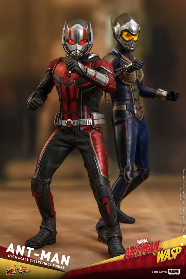 Ant-Man (Ant-Man & The Wasp) 1/6 (Hot Toys) NaJ8lSlF_o