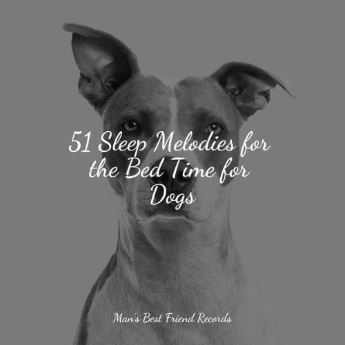 Calming Music for Dogs - 51 Sleep Melodies for the Bed Time for Dogs - 2022