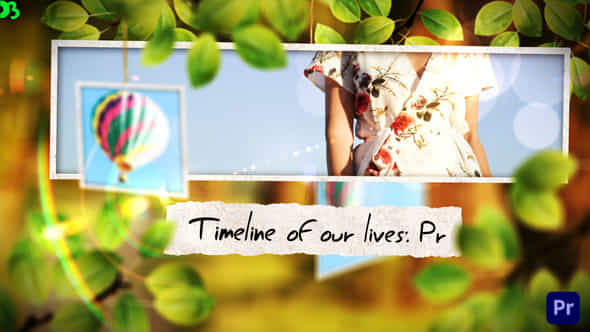 Timeline Of Our - VideoHive 45228412