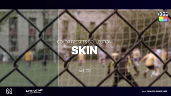 Skin LUT Collection - VideoHive 48341909