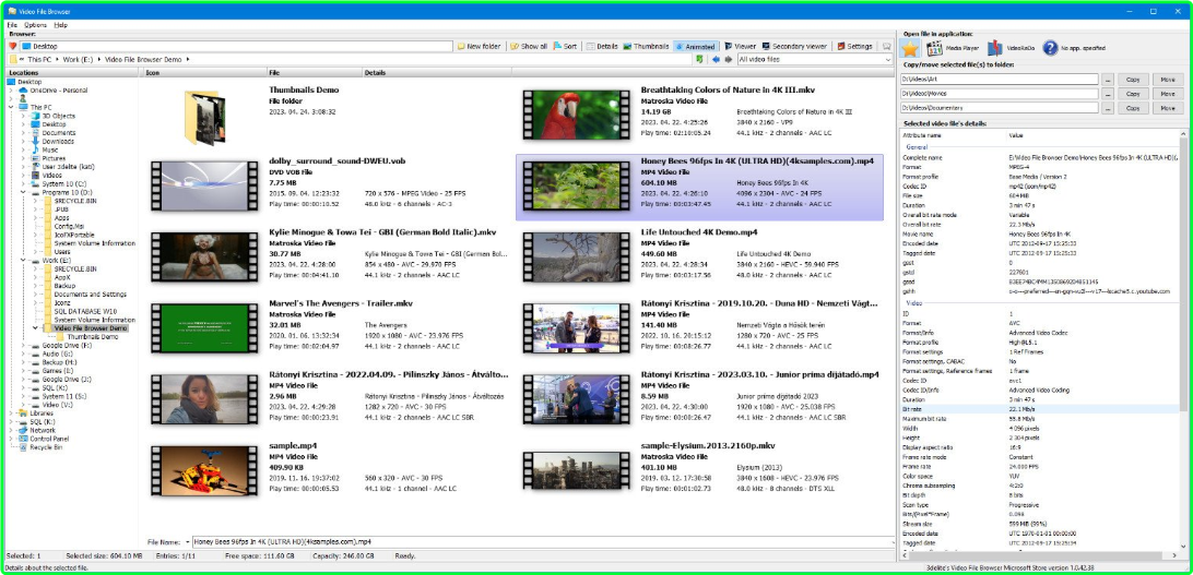 3delite Video File Browser 1.0.59.54 X64 QU9pNXlf_o