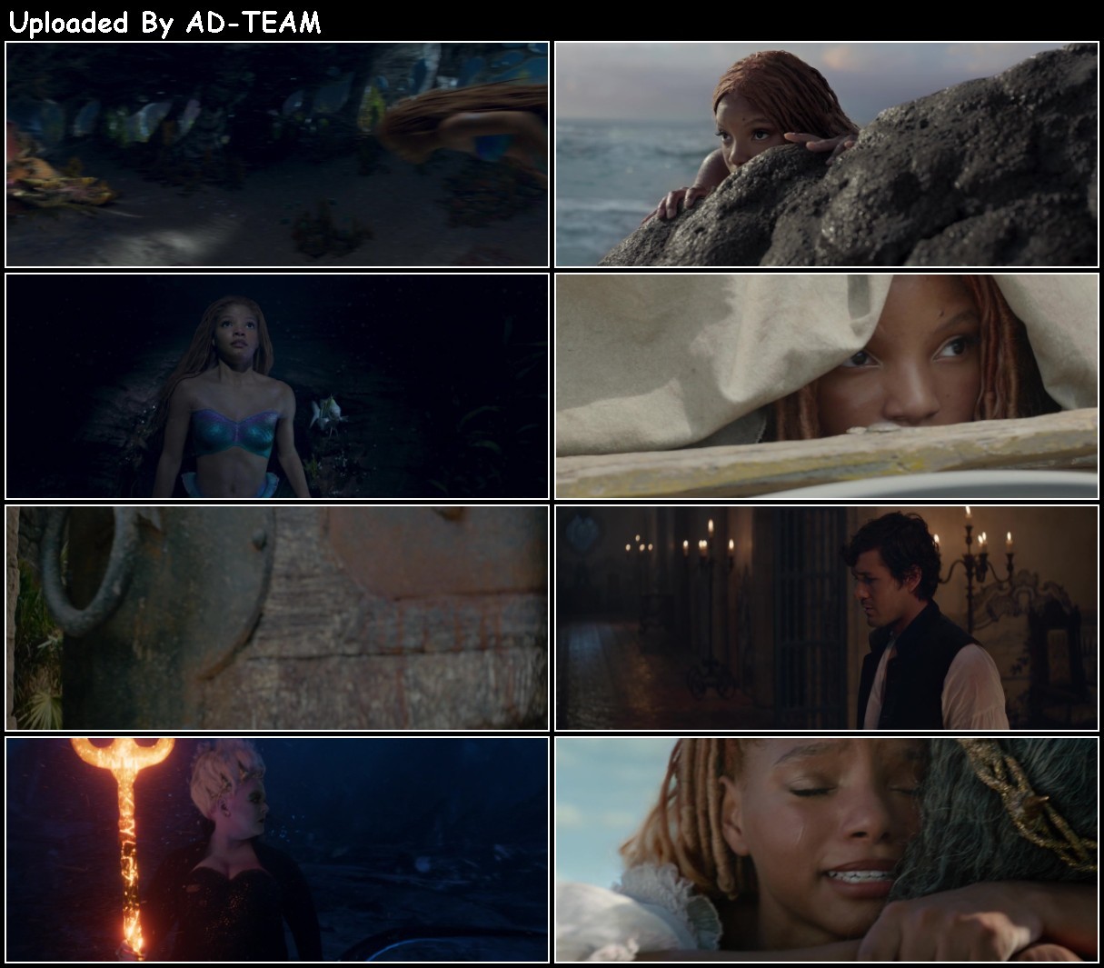 The Little Mermaid (2023) 720p BluRay x264-PiGNUS Dj8PjWkj_o