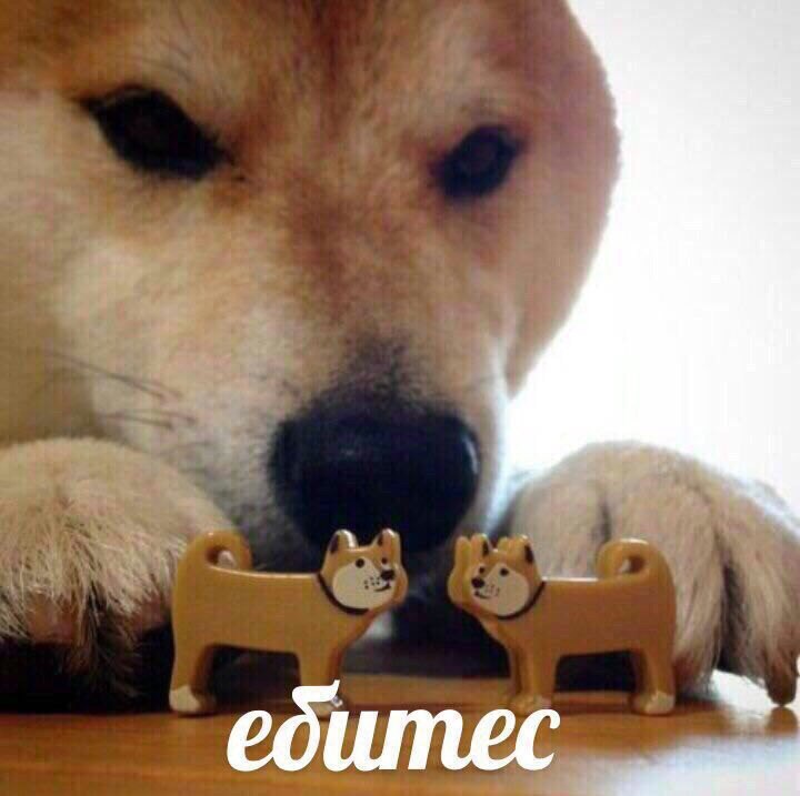 1RubnVZ4_o.jpeg