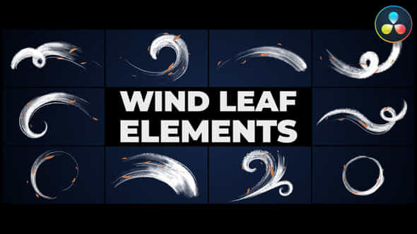 Wind Leaf Elements - VideoHive 46211859